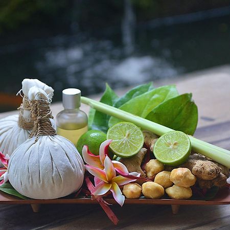 Villa JJ&Spa Ubud Esterno foto