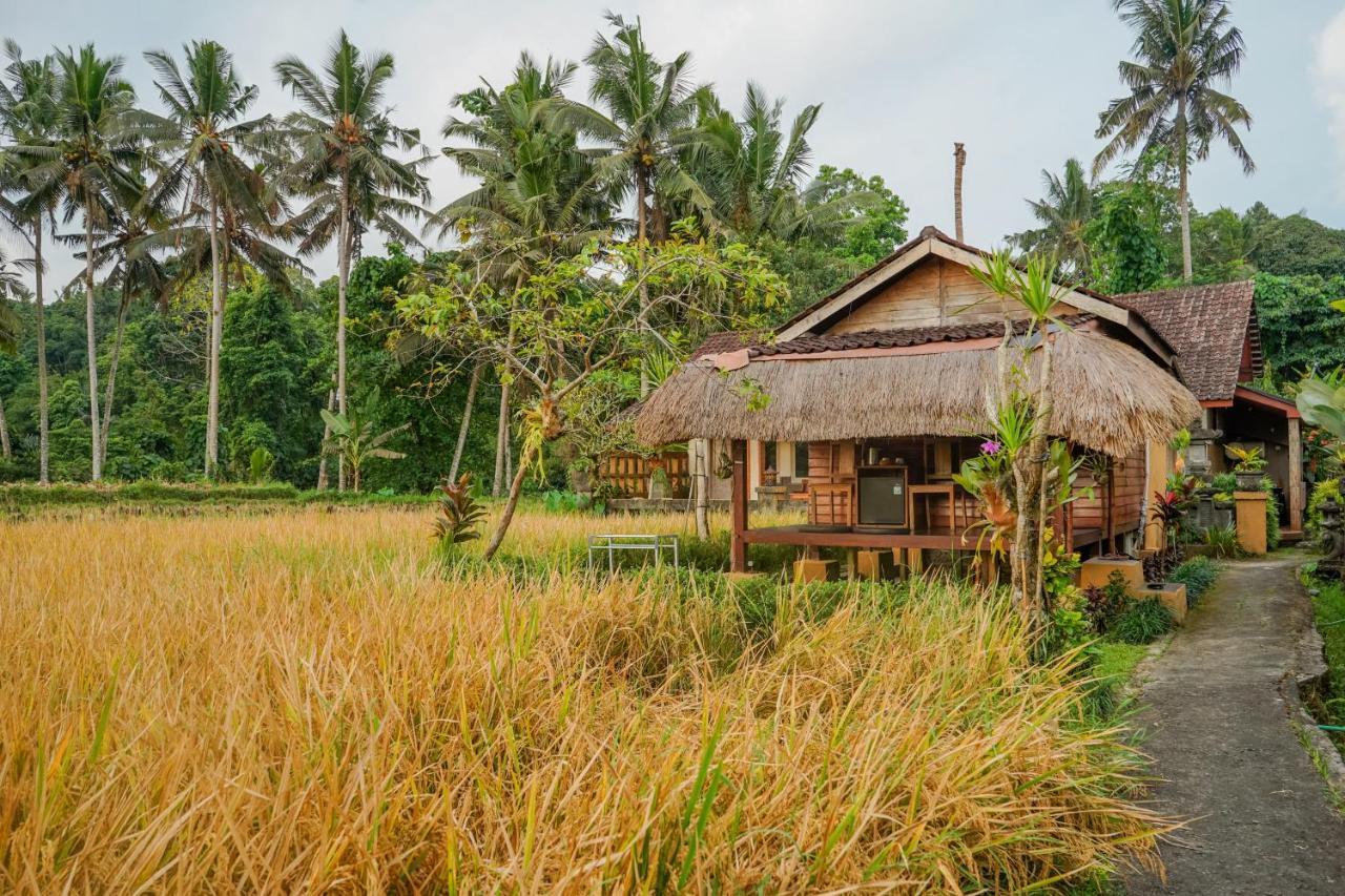Villa JJ&Spa Ubud Esterno foto