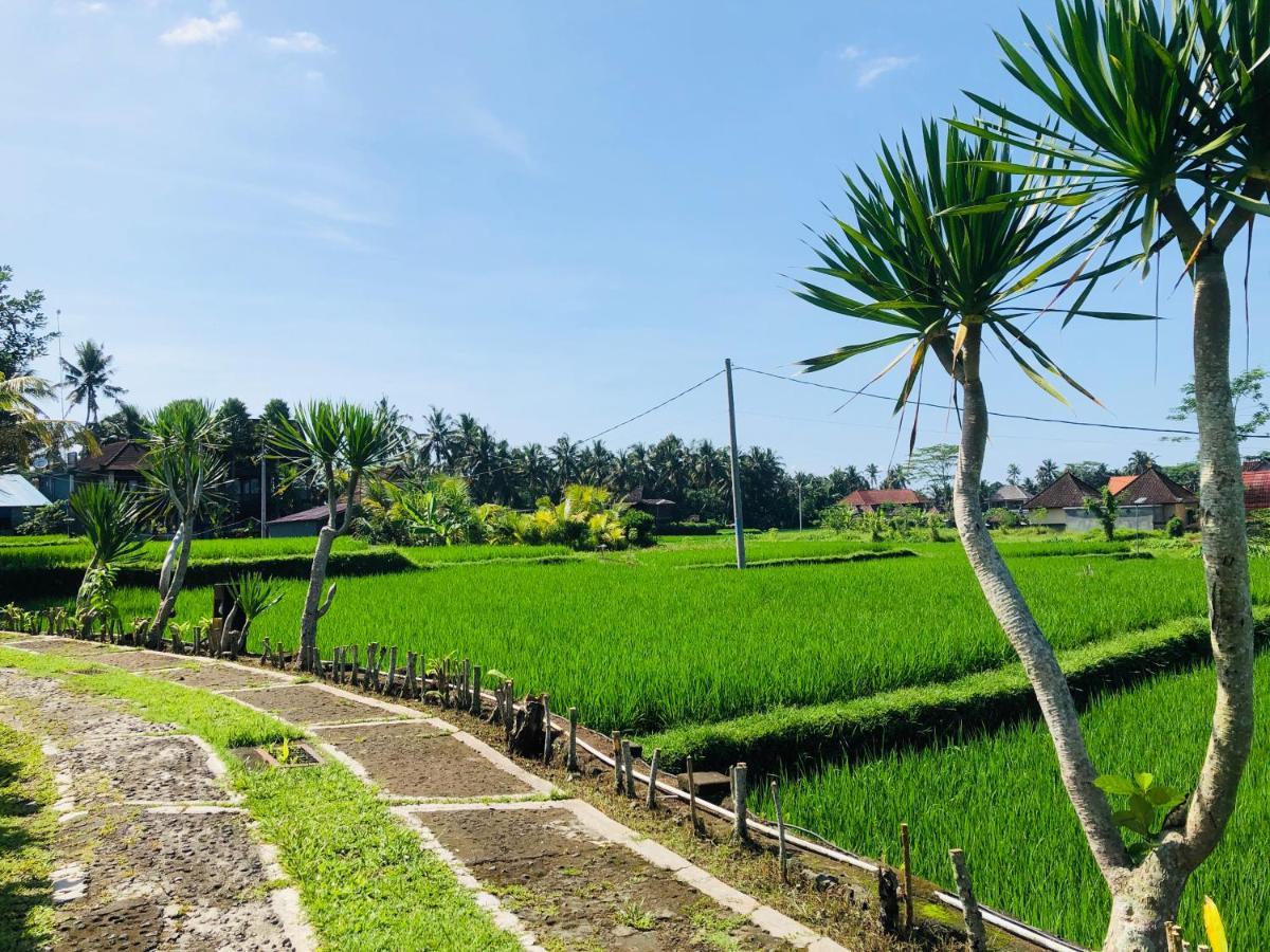 Villa JJ&Spa Ubud Esterno foto