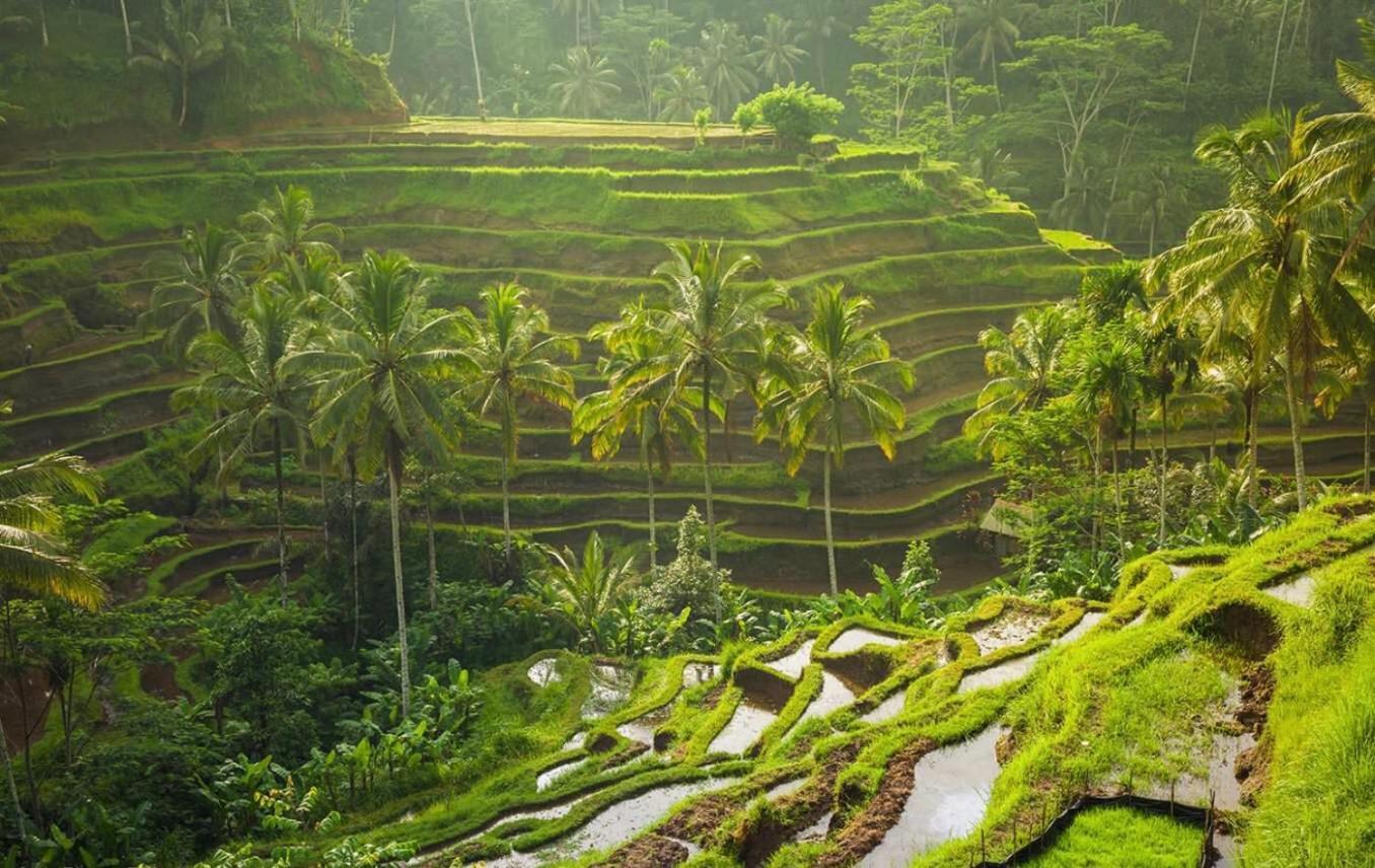 Villa JJ&Spa Ubud Esterno foto
